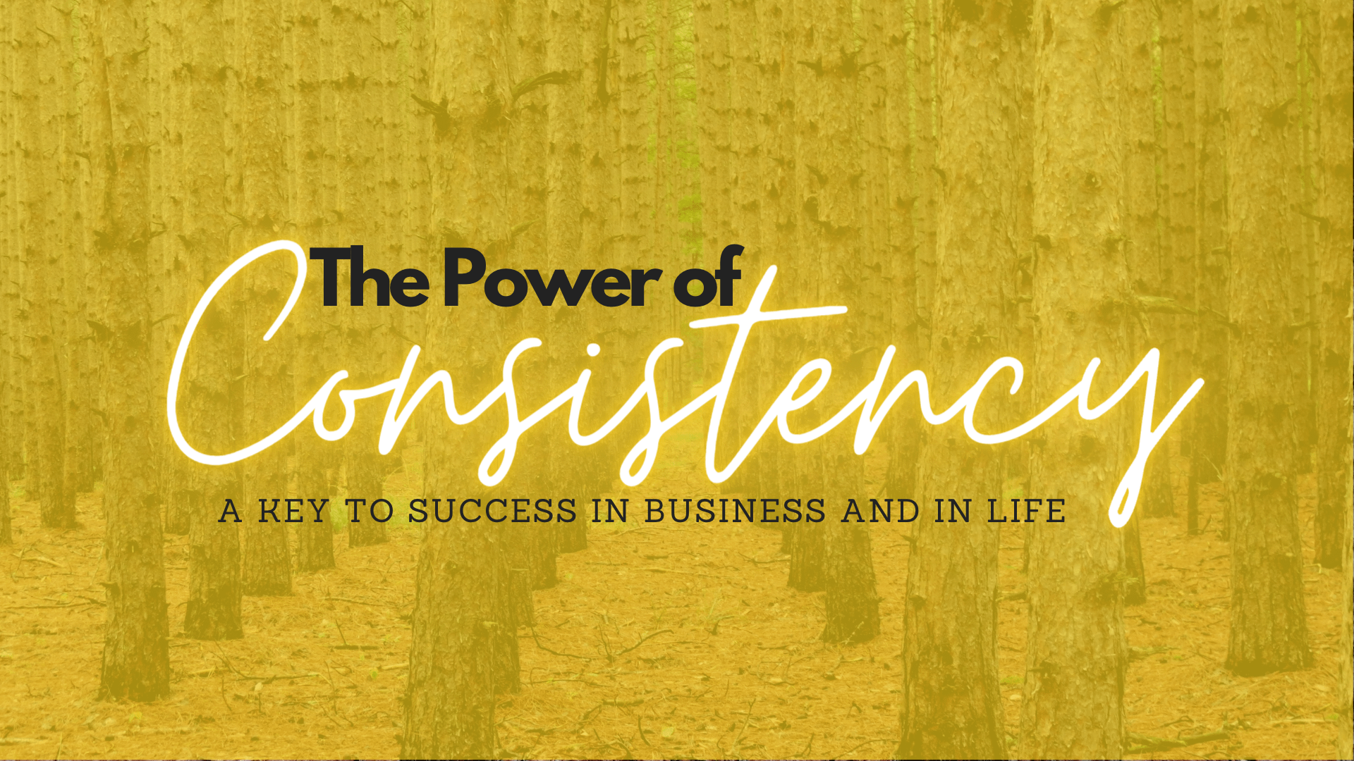 The Power of Consistency